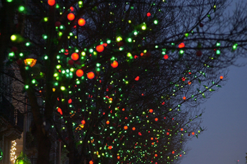 Photographie du projet Printemps de Noël