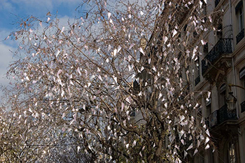 Photographie du projet Hiver de Glace