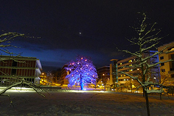 Photographie du projet Illumination du Grand Saconnex