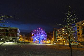 Photographie du projet Illumination du Grand Saconnex