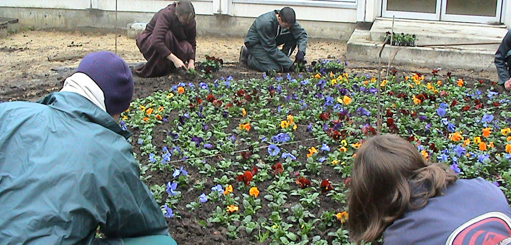 Image 7 du projet Tournefleurs